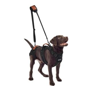 Dog Lift Harness, Full Body Dog Harness with Handle for Lifting